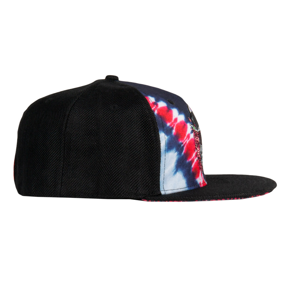 Aaron Brooks Eazy Bertha V Dye Fitted Hat Grassroots California