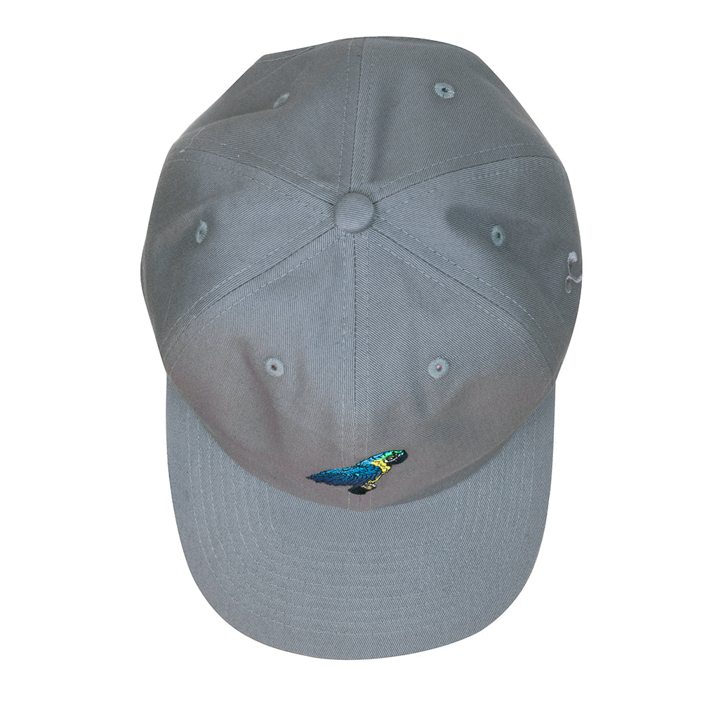 Blue Gold Macaw Gray Dad Hat Grassroots California