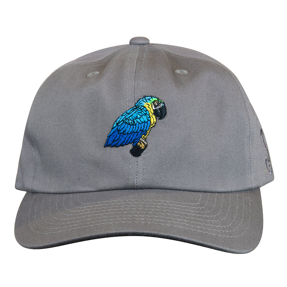 Blue Gold Macaw Gray Dad Hat Grassroots California