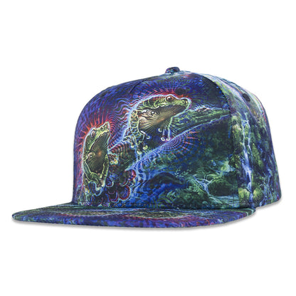 Simon Haiduk Fable Print Fitted Hat Grassroots California