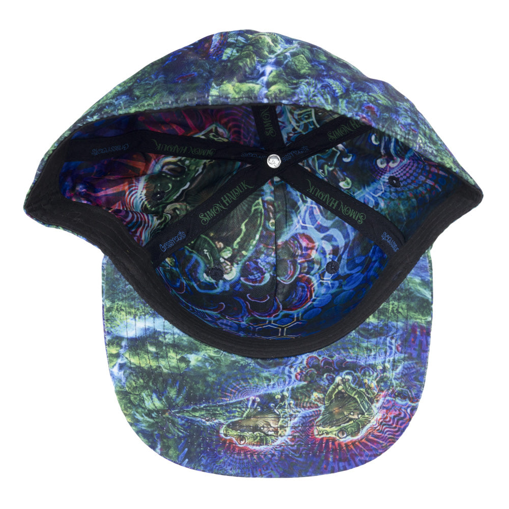 Simon Haiduk Fable Print Fitted Hat Grassroots California