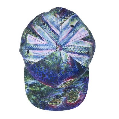 Simon Haiduk Fable Print Fitted Hat Grassroots California