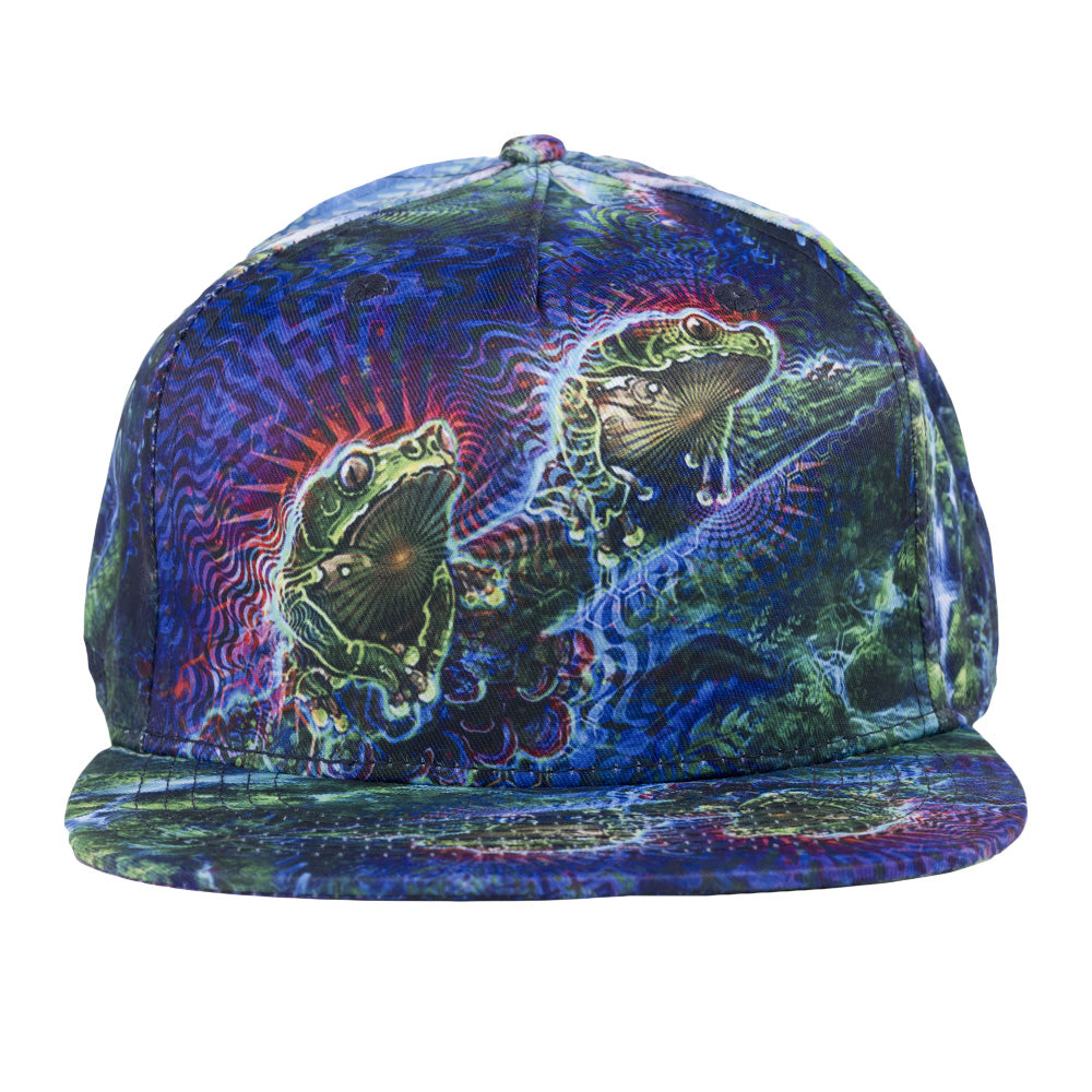 Simon Haiduk Fable Print Fitted Hat Grassroots California