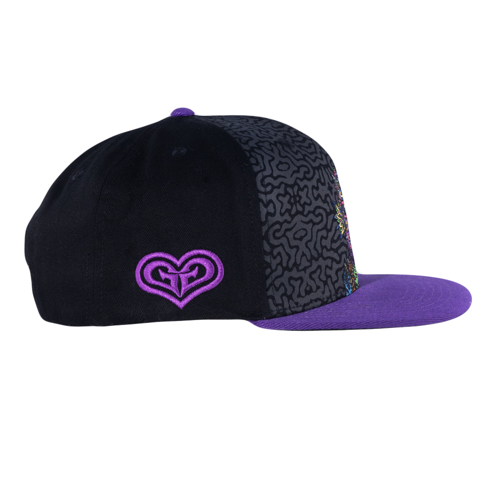 Chris Dyer Galaktic Gang Purple Snapback Hat Grassroots California