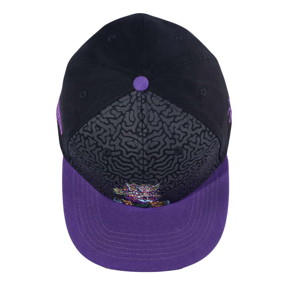 Chris Dyer Galaktic Gang Purple Snapback Hat Grassroots California