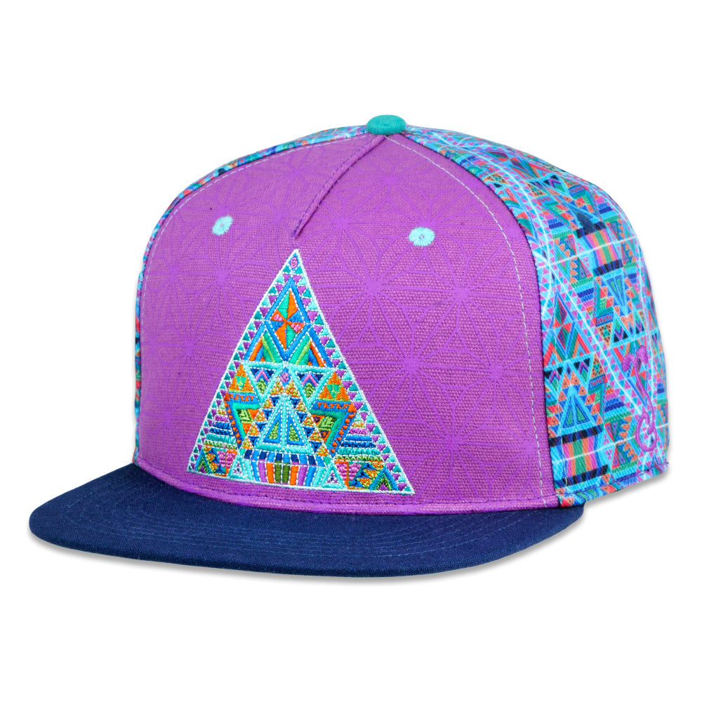 Chris Dyer DMT Triangles Purple Fitted Hat Grassroots California