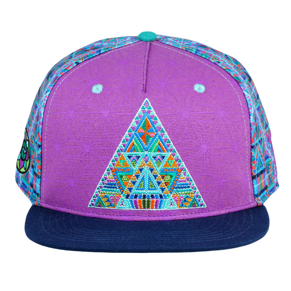 Chris Dyer DMT Triangles Purple Fitted Hat Grassroots California