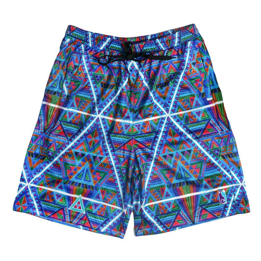 Chris Dyer DMT Triangles Blue Mesh Shorts Grassroots California