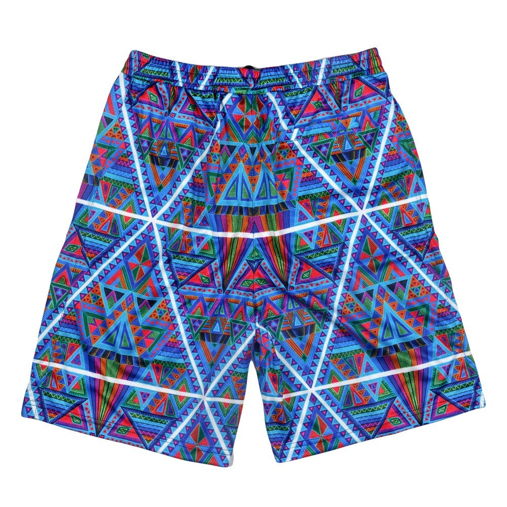 Chris Dyer DMT Triangles Blue Mesh Shorts Grassroots California