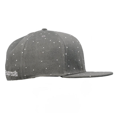 Toking Wizard Gray Fitted Hat Grassroots California