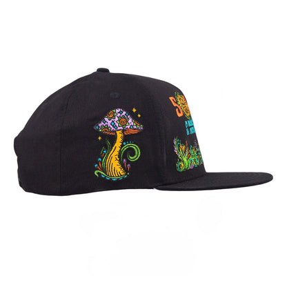 Solshine Reverie Black Snapback Hat Grassroots California