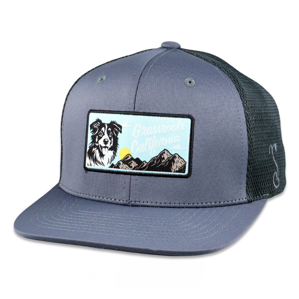 PuppyRoots Dri-Bear Gray Mesh Snapback Hat Grassroots California