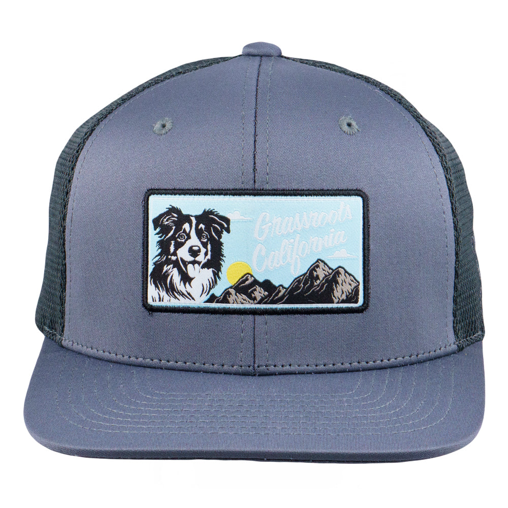 PuppyRoots Dri-Bear Gray Mesh Snapback Hat Grassroots California