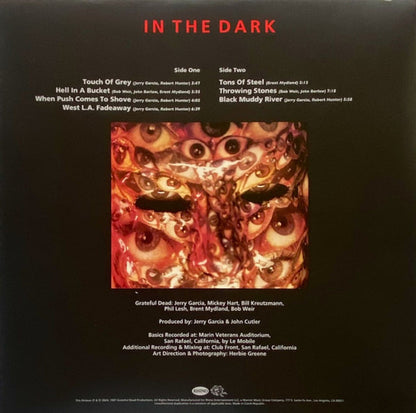 Grateful Dead – In The Dark (LP Vinyl) Vinyl Record