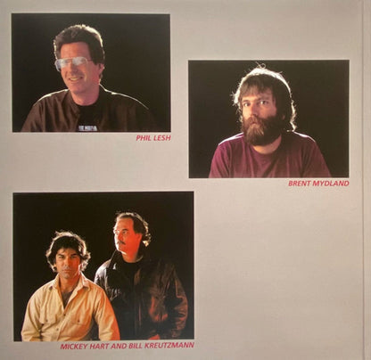 Grateful Dead – In The Dark (LP Vinyl) Vinyl Record