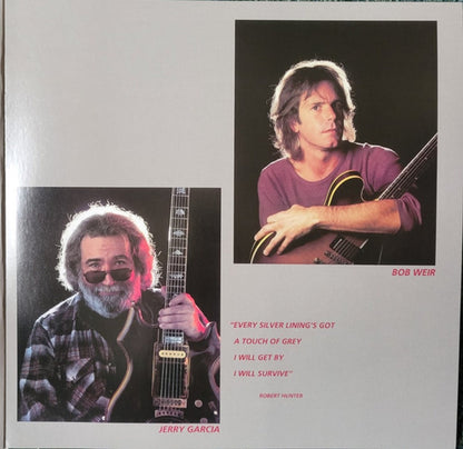 Grateful Dead – In The Dark (LP Vinyl) Vinyl Record
