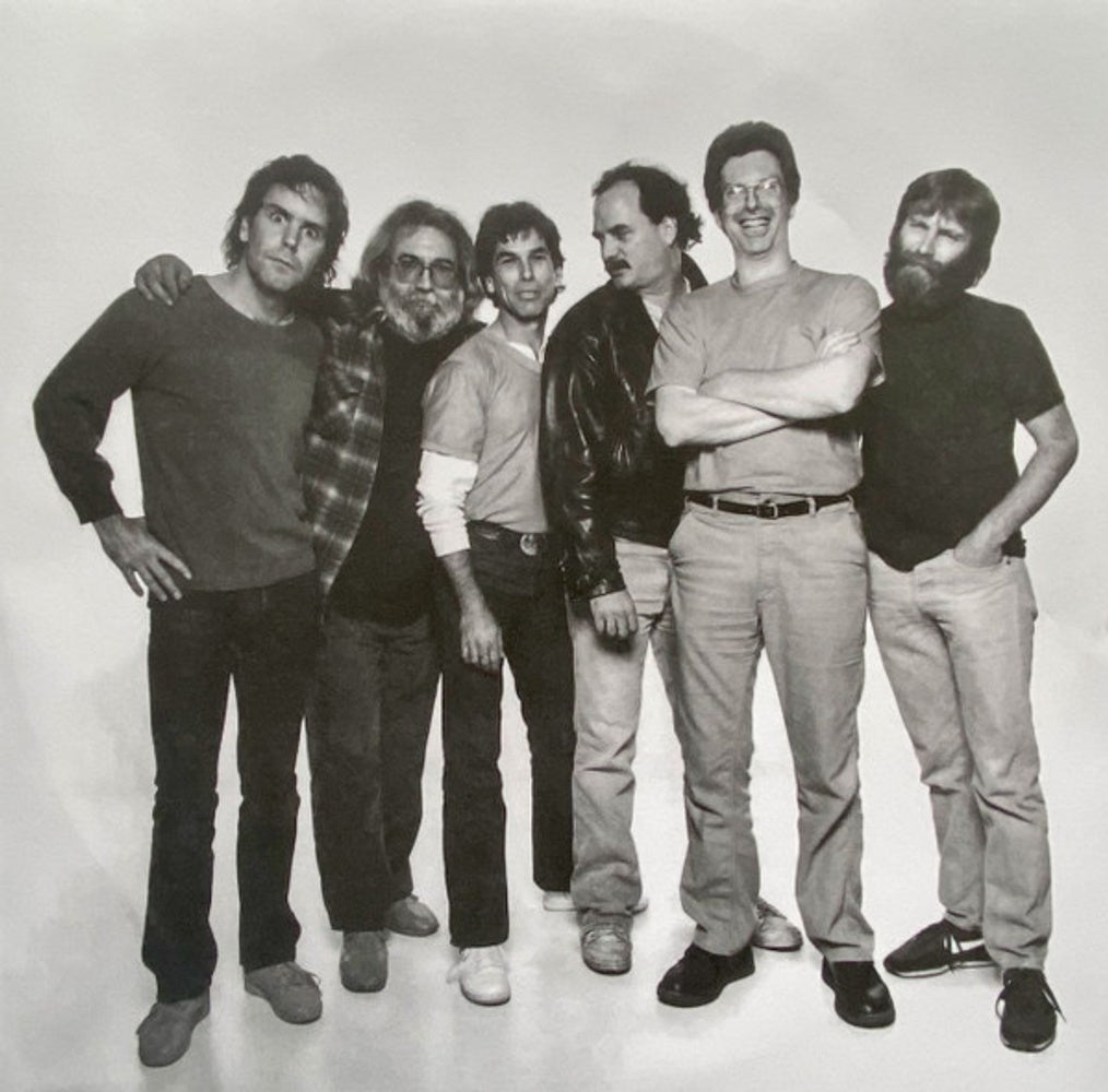 Grateful Dead – In The Dark (LP Vinyl) Vinyl Record