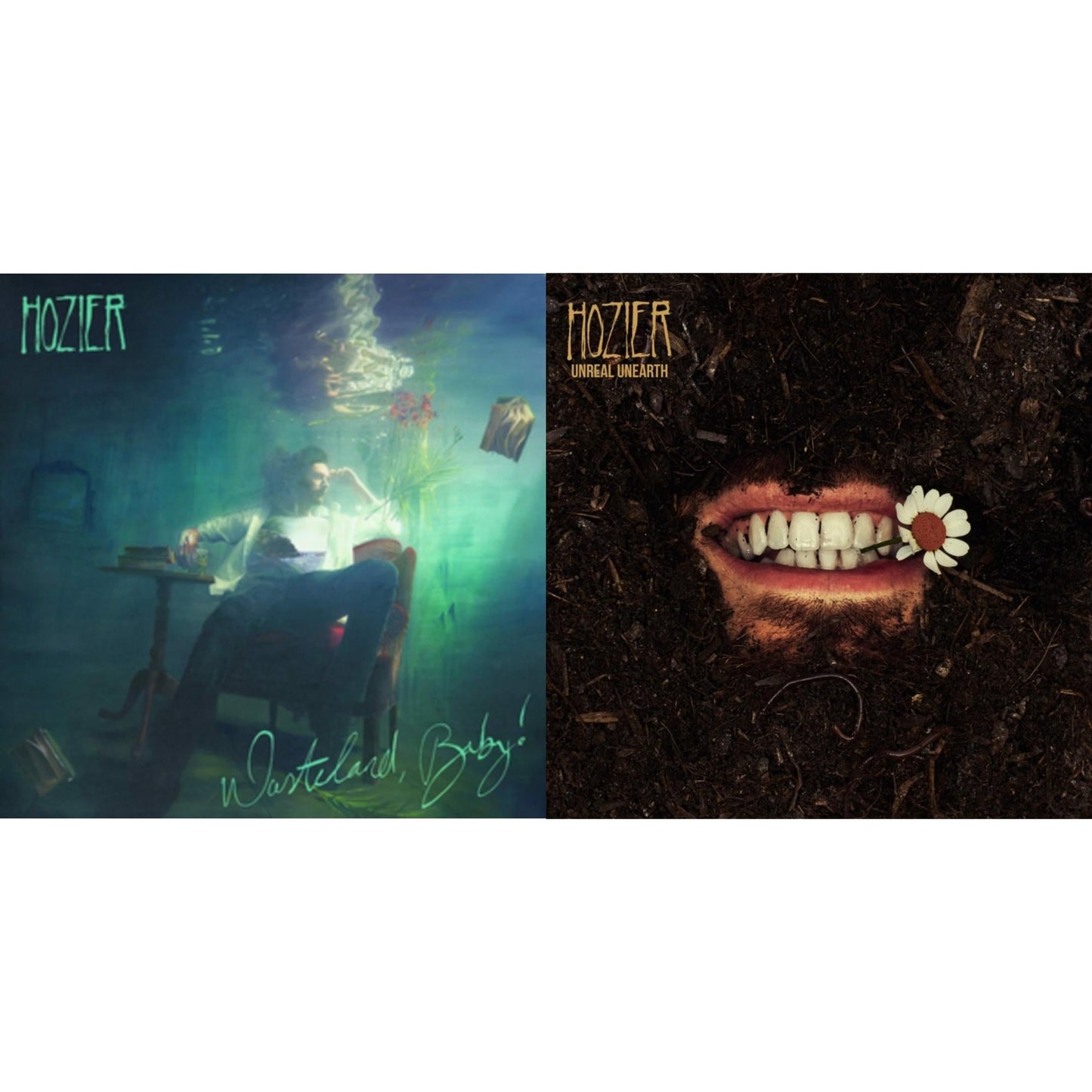Hozier - Wasteland Baby! & Unreal Unearth (2LP)