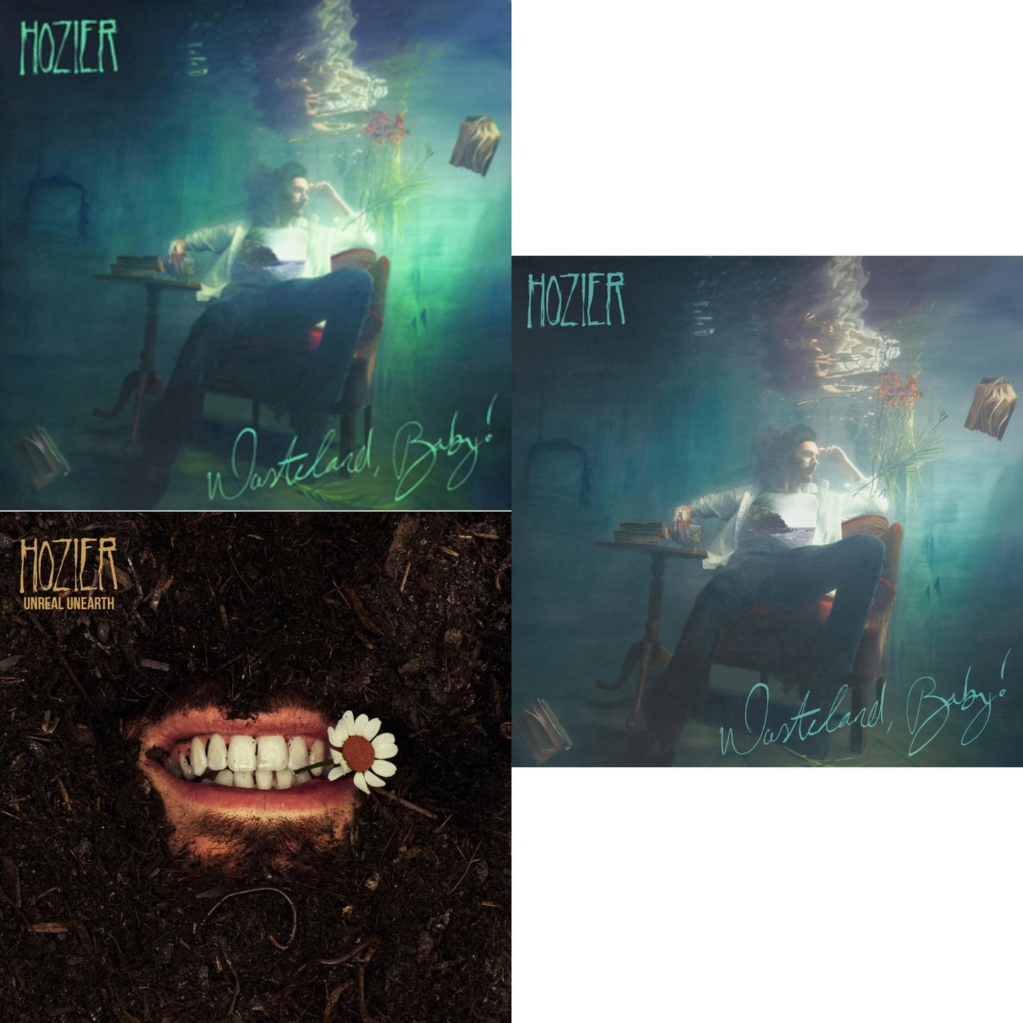 Hozier - Wasteland Baby! & Unreal Unearth (2LP) & Wasteland, Baby! (2LP)