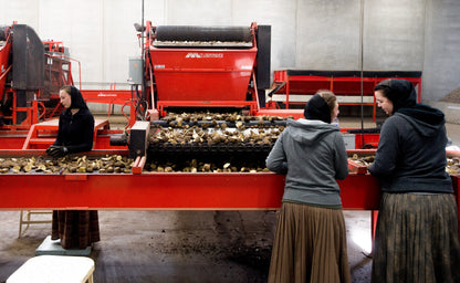 A Year in the Fields: The State of the Washington Farmer Book