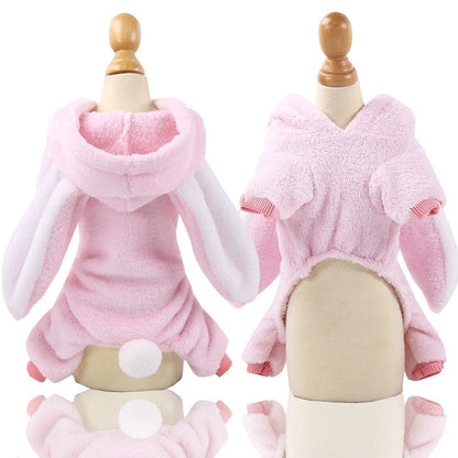 Dinosaur Cloth Set For Small Puppy
