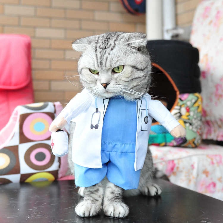 Funny cats and dogs costumes