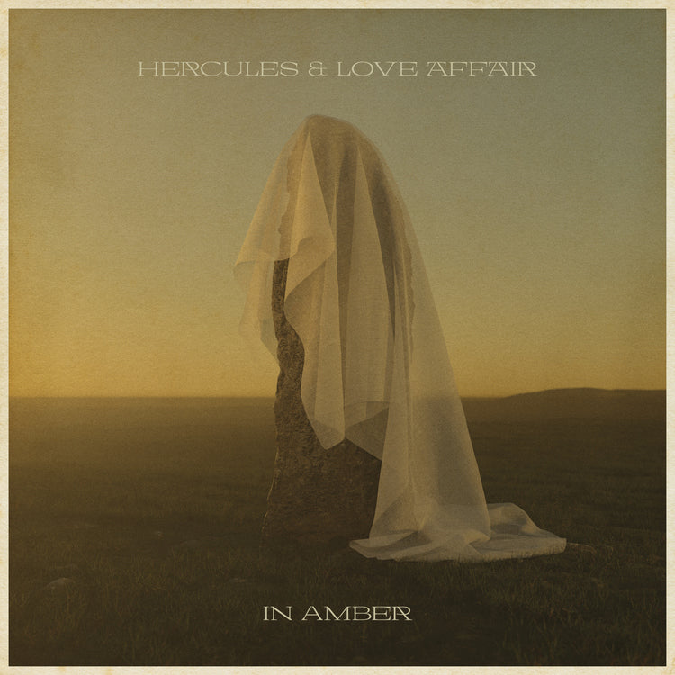 In Amber [Vinyl] Vinyl Record