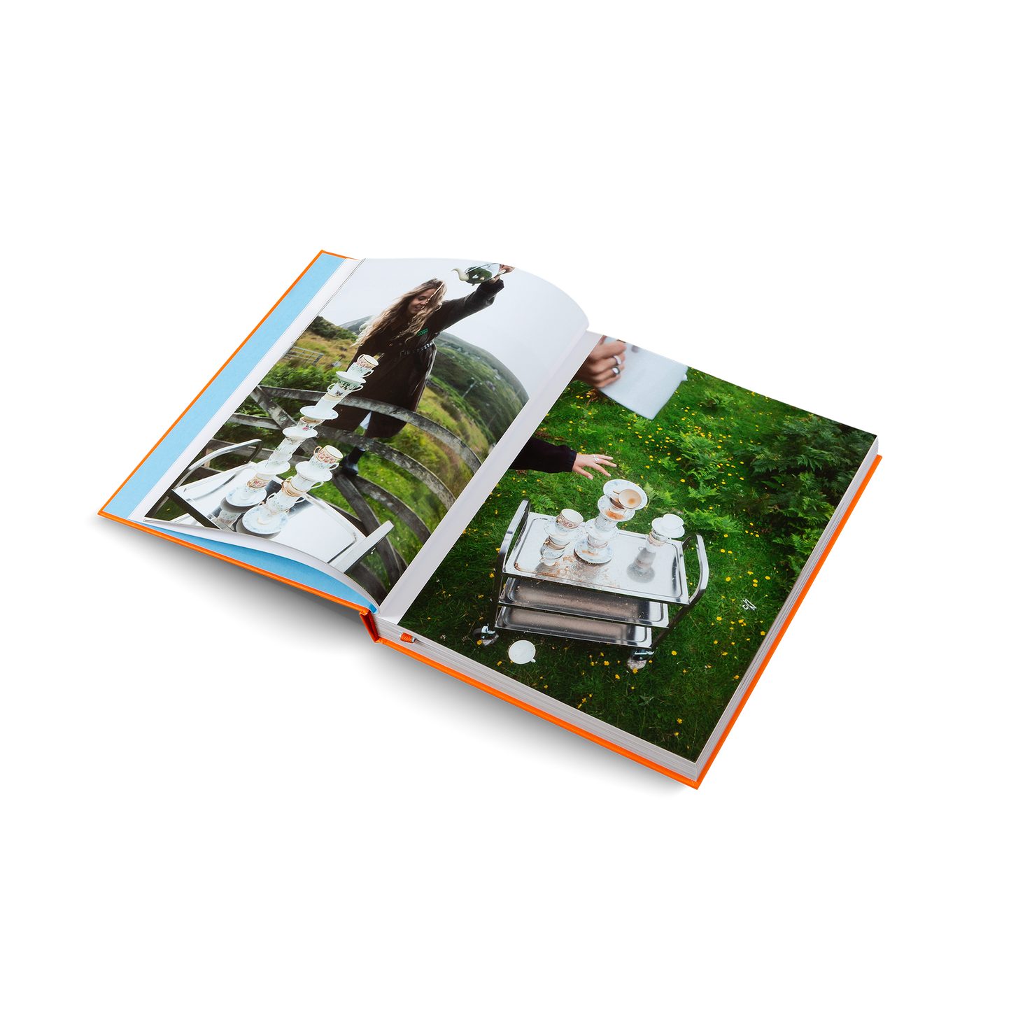 Herrlich Hosting Book