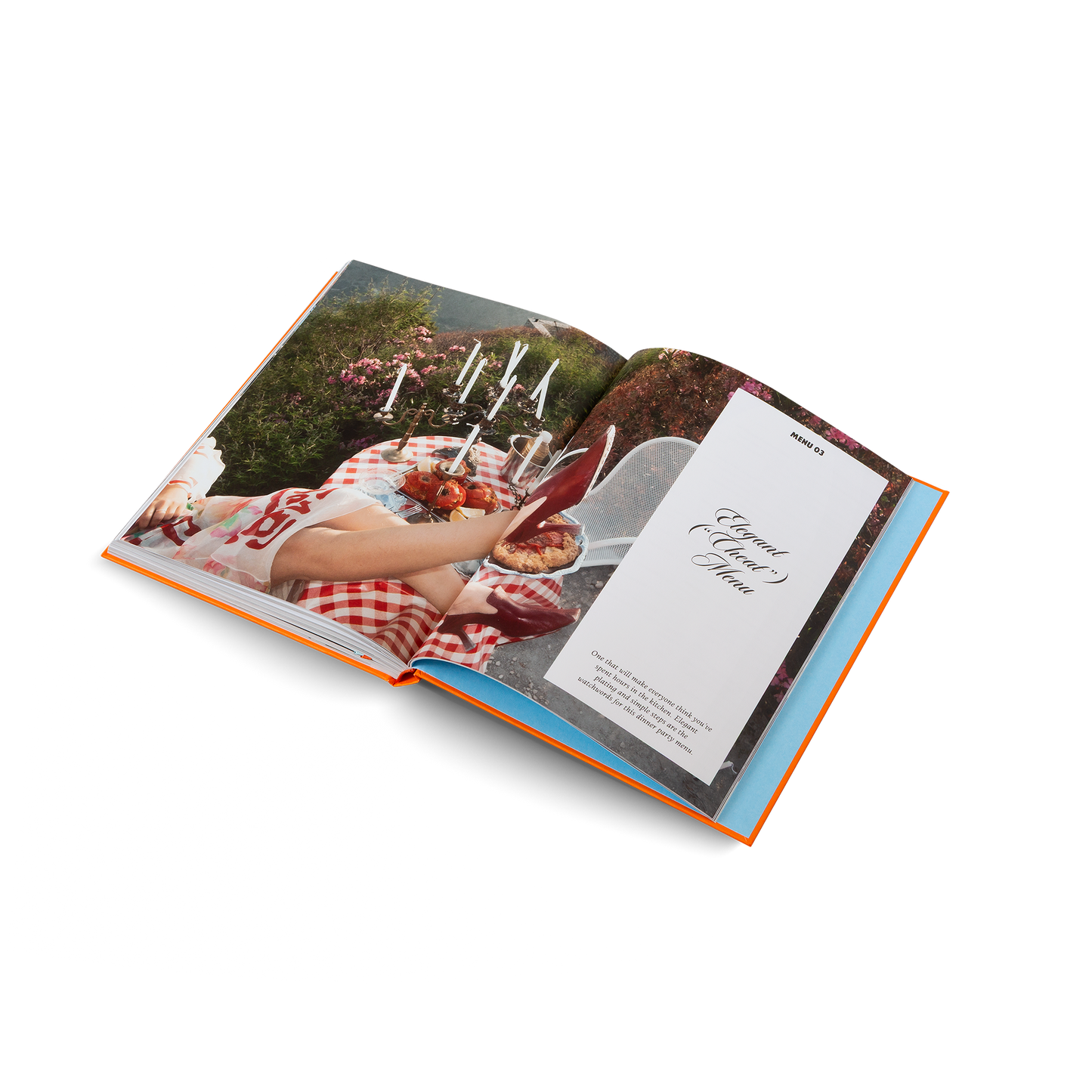 Herrlich Hosting Book