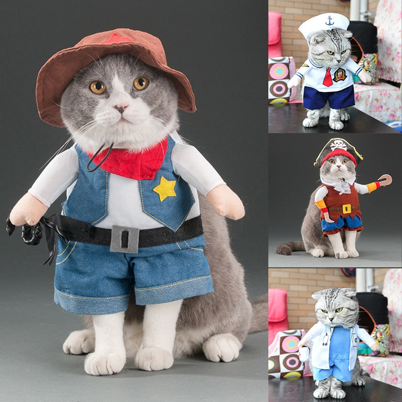 Funny cats and dogs costumes