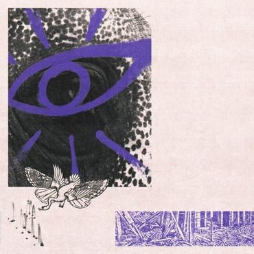 Hippo Campus - LP3 Vinyl Record
