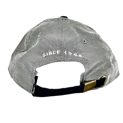 Fender Hipster Dad Hat Grey