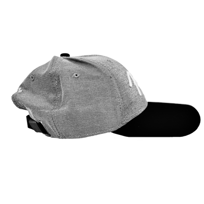 Fender Hipster Dad Hat Grey