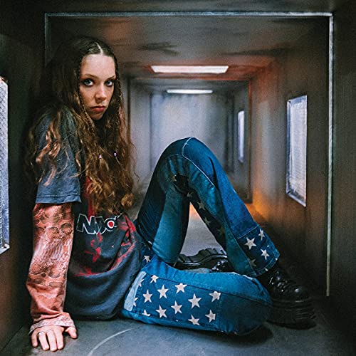 The Walls Are Way Too Thin [LP] [Vinyl] Vinyl Record