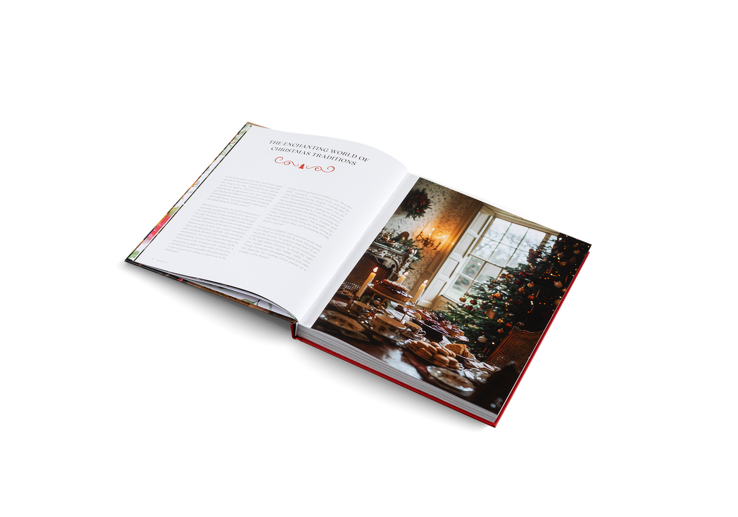 Home for Christmas Book