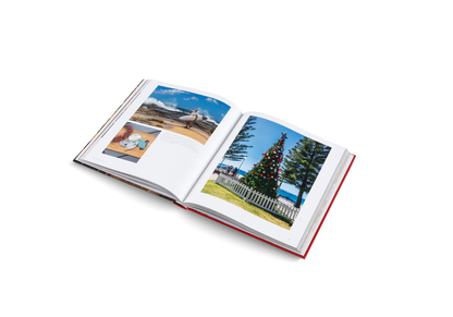 Home for Christmas Book