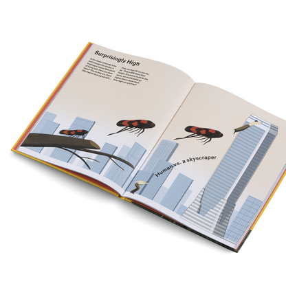 How Big Is Big? How Far Is Far? All Around Me Book