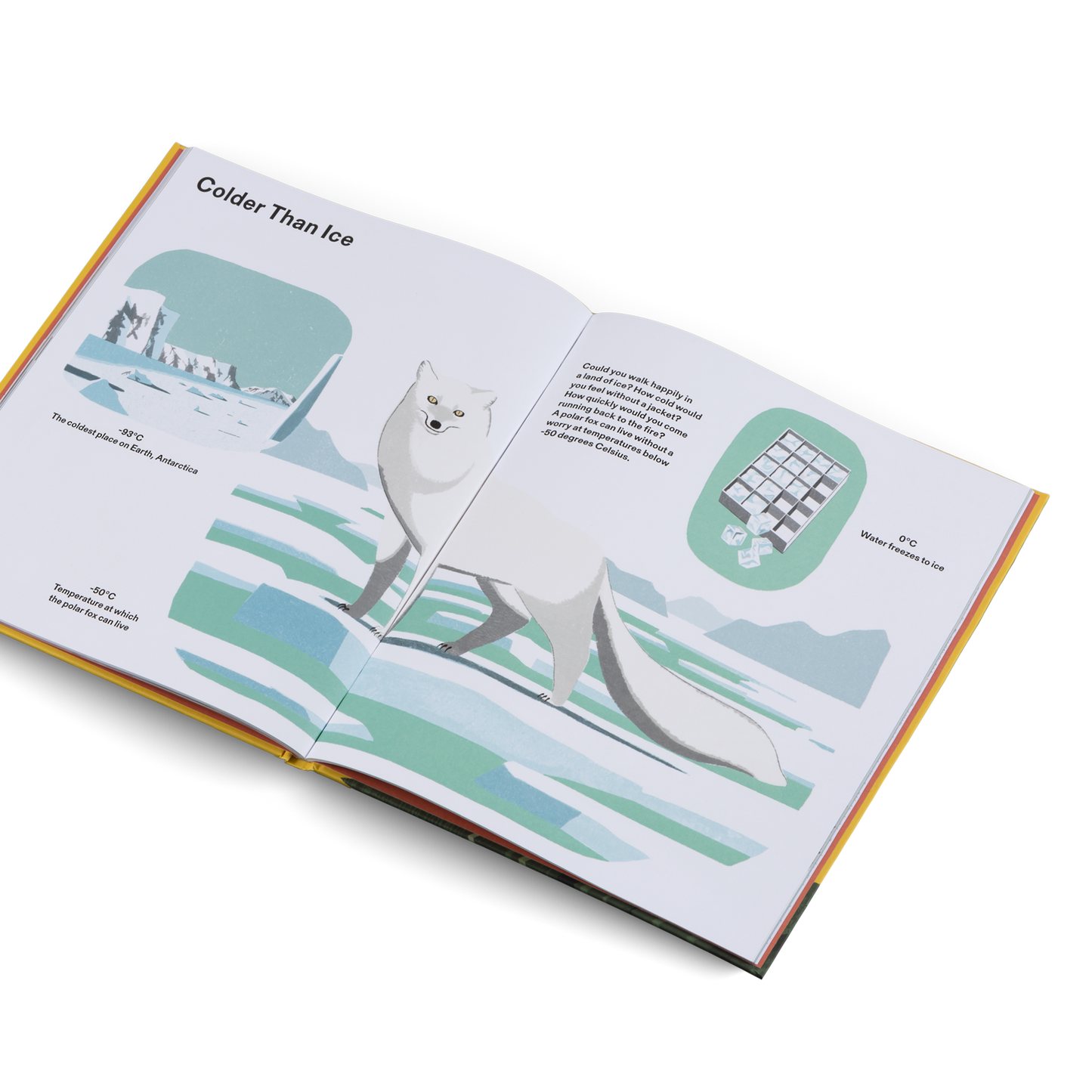 How Big Is Big? How Far Is Far? All Around Me Book