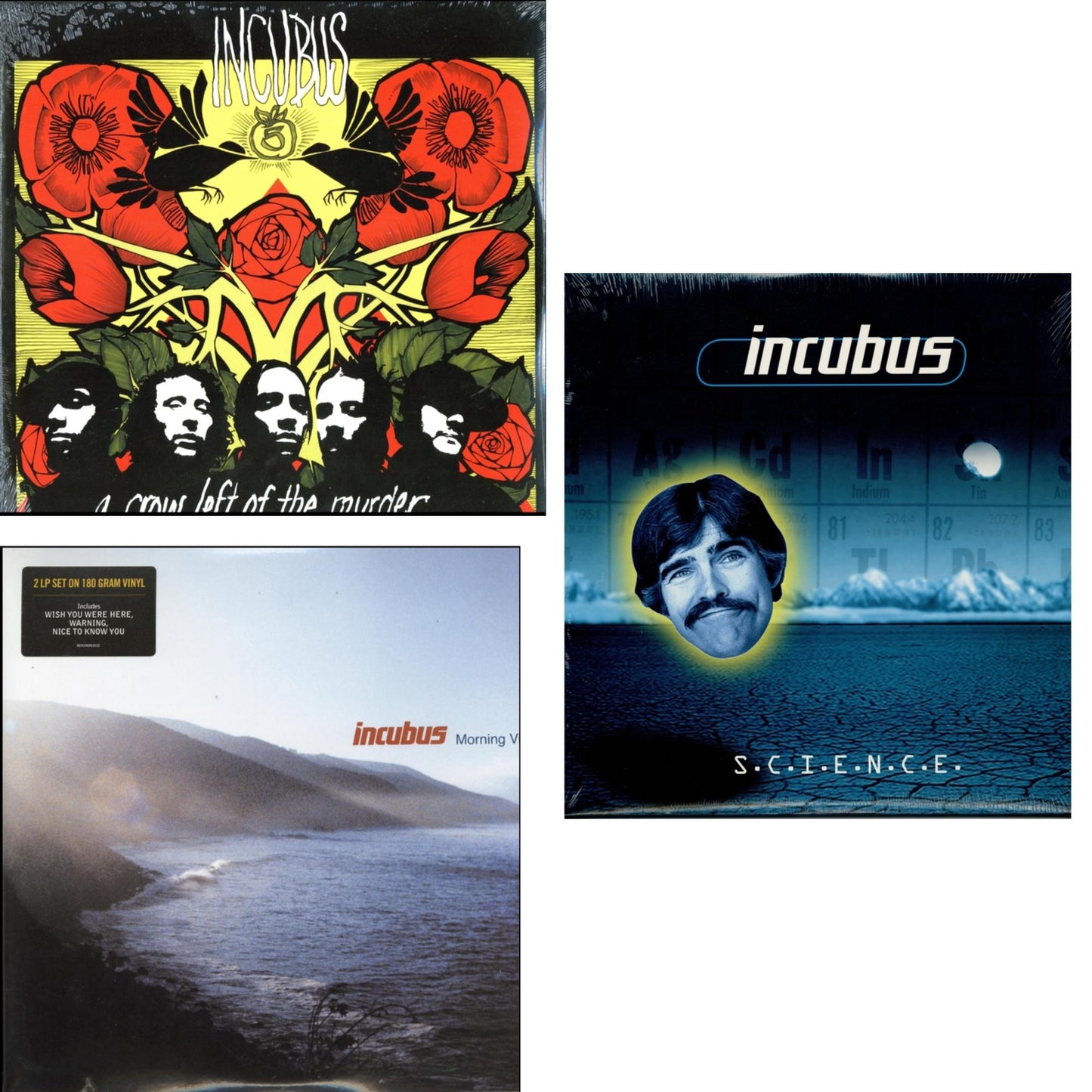 Incubus - Crow Left Of The Murder (2LP/180G) & Morning View (2LP/180G) & S.C.I.E.N.C.E. (180G)