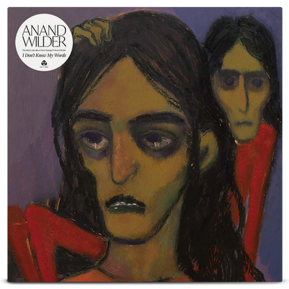 Anand Wilder - I Don't Know My Words