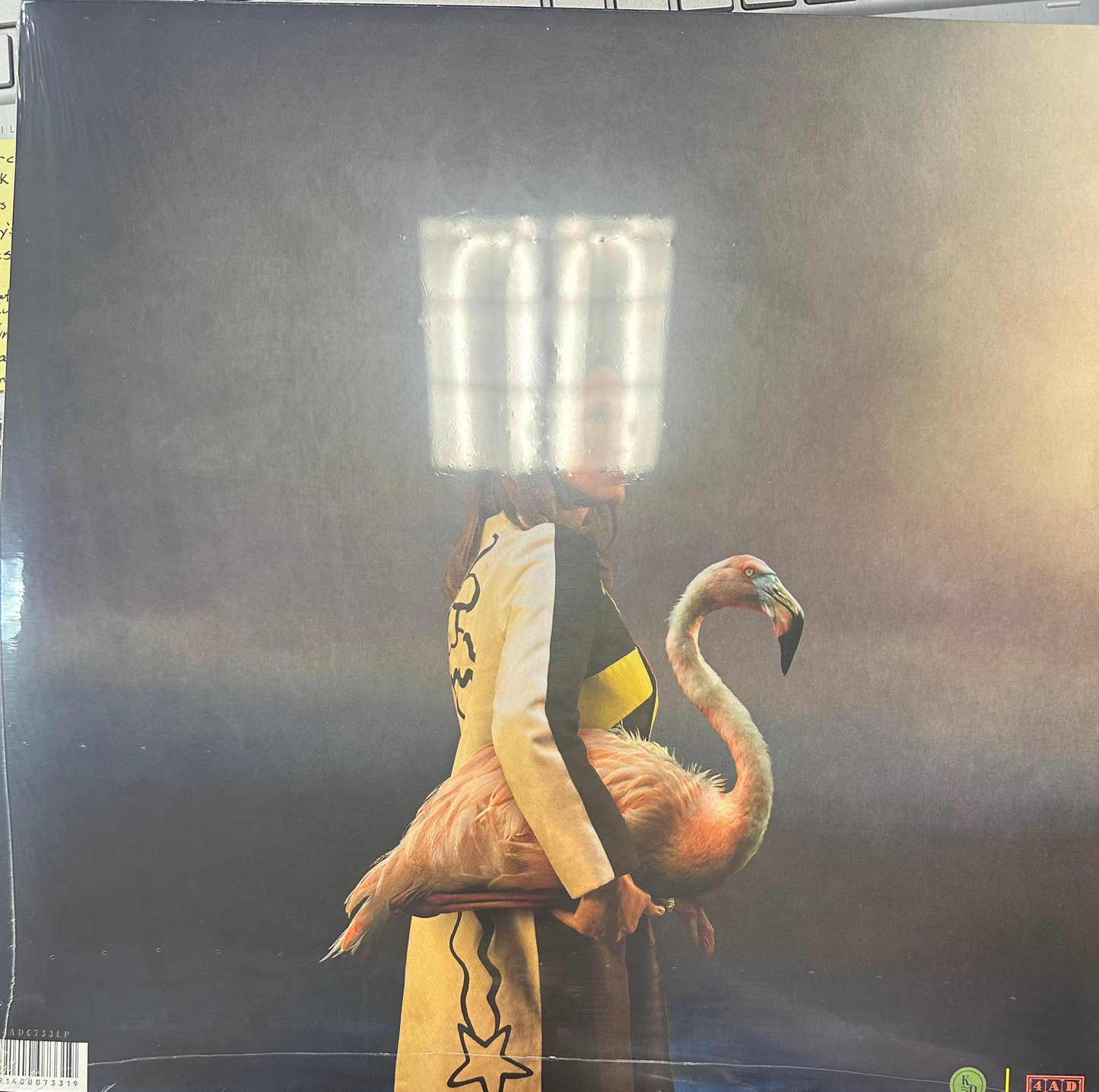 Kim Deal - Nobody Loves You More Vinyl LP Record