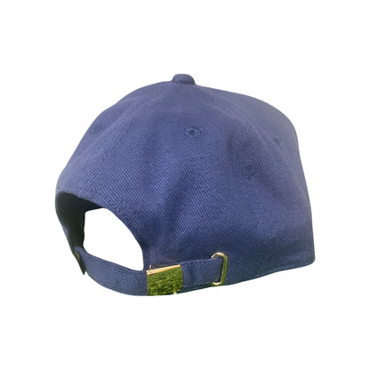 Texas Longhorns Gold Metal Longhorn Logo on Navy Cotton & Tan Suede Flatbill / Hat / UT9011 / MM Hat