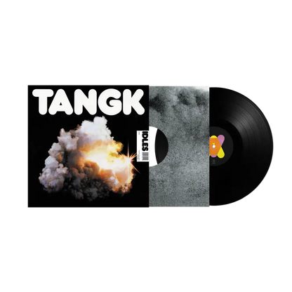 Idles - TANGK Vinyl Record