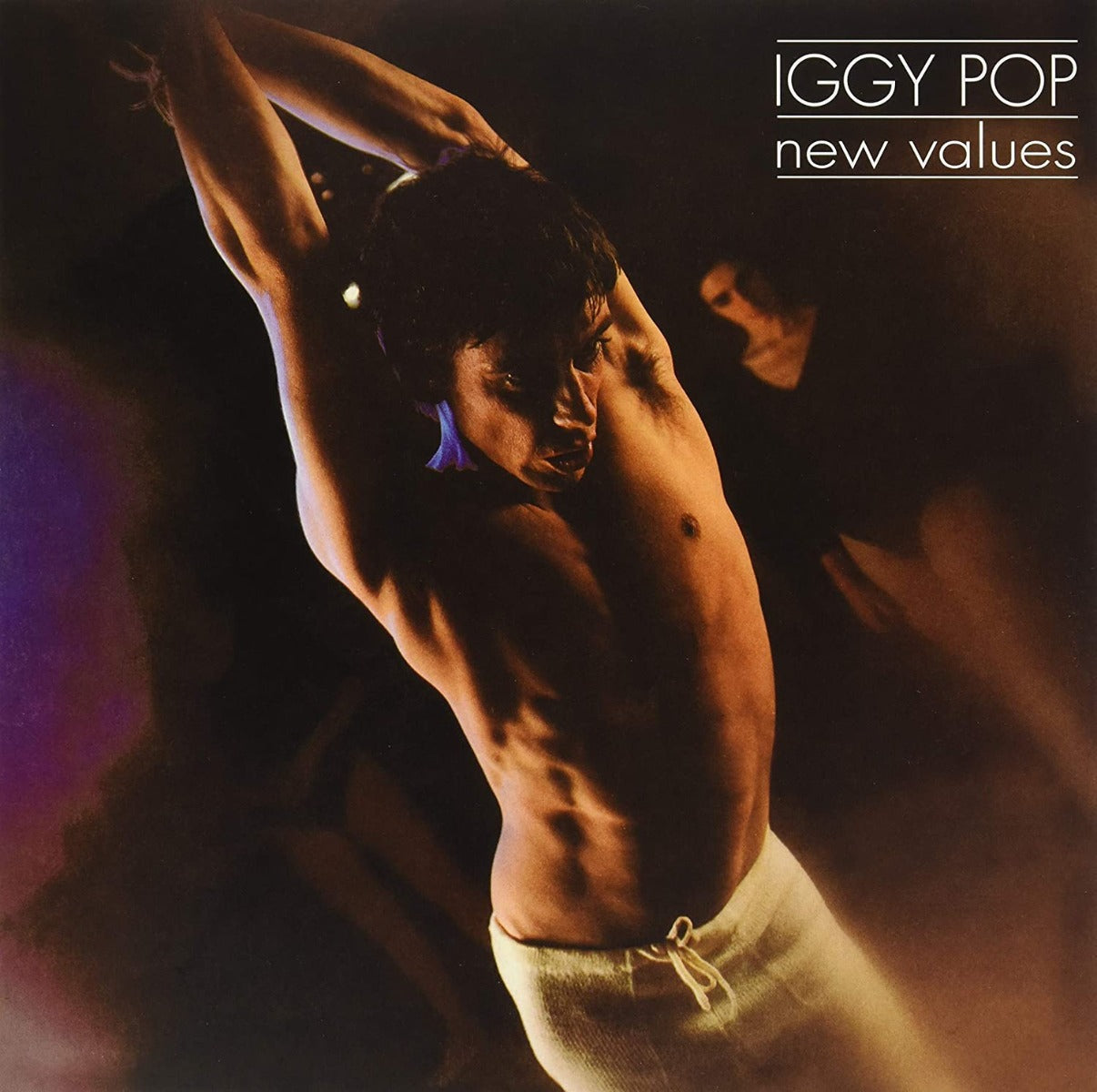 NEW VALUES Vinyl Record