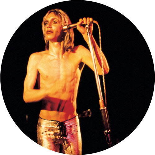 More Power - A Gorgeous Picture Disc Vinyl (Picture Disc Vinyl LP, Remastered) [Vinyl] Vinyl Record