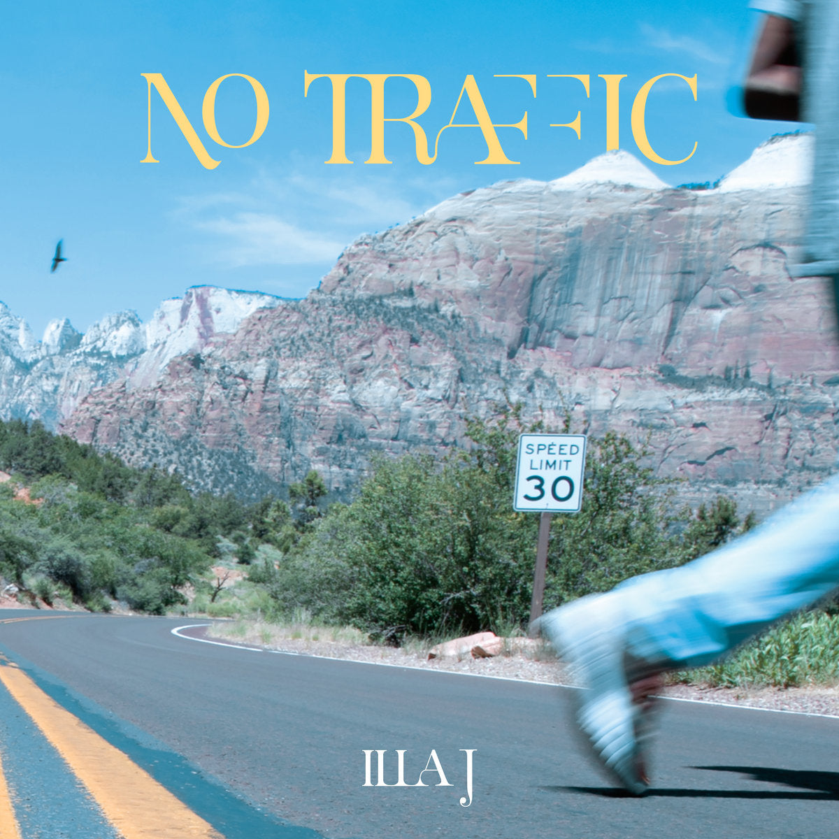 Illa J - No Traffic Vinyl Record