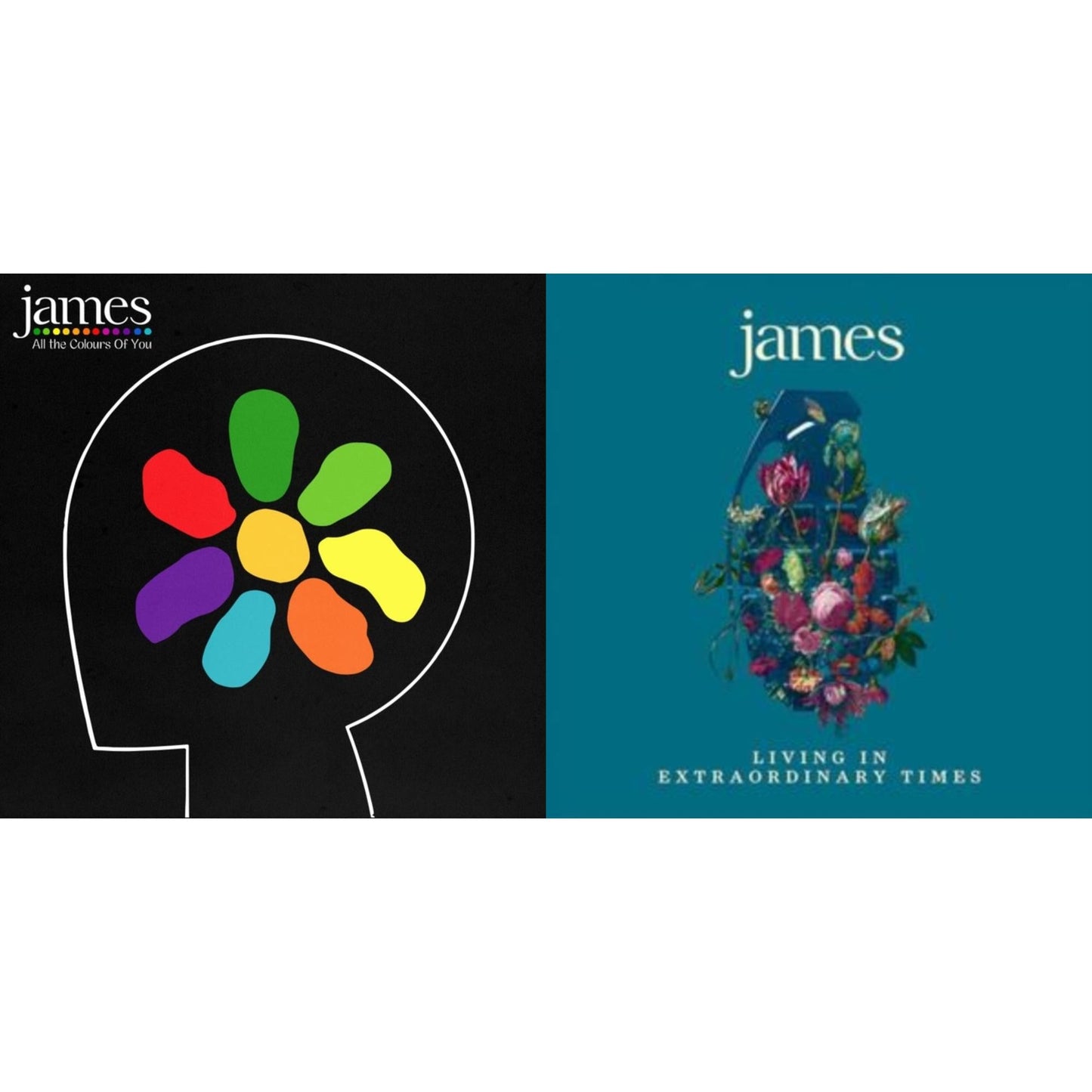 James - Living In Extraordinary Times (2LP) & All The Colours Of You (2LP)