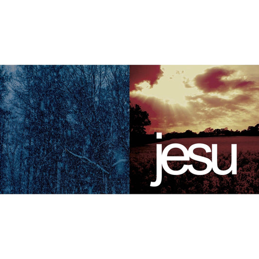 Jesu - Heart Ache (Deluxe/2LP/Remastered/Limited) & Never