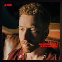 DANGEROUS LEVELS OF INTROSPECTION [Vinyl] Vinyl Record