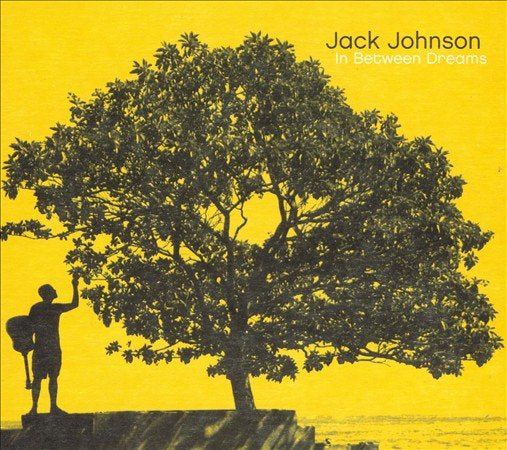 Jack Johnson - In Between Dreams Vinyl Record